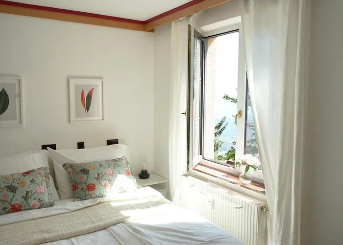 Homestay Hochkogelhaus - Flying Oasis, Hohe Wand Maiersdorf